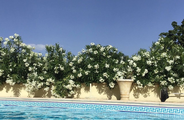 Recién Terminado Moderno Villa italiana con piscina privada