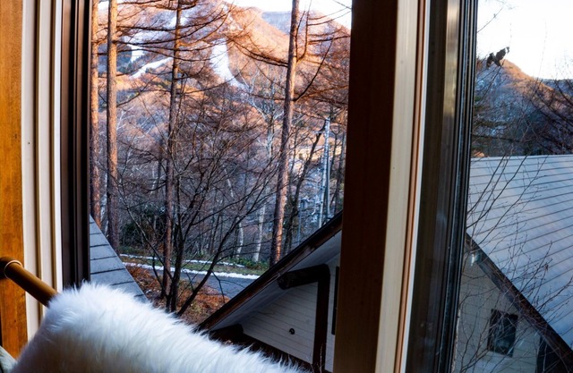 Modern Mountain Apartment 102 / Kamiminochi-gun Nagano