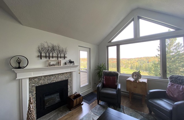 Modern Muskoka Executive 2 Bedroom Condo/Loft. Minutes to the Provincial Parks!