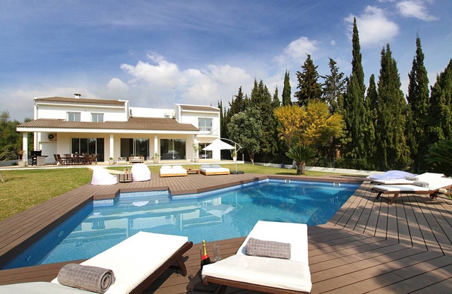 Modern Palmeras