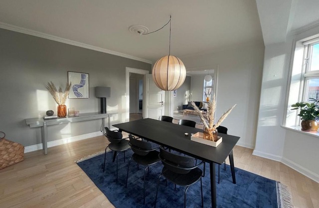 Modern Scandinavian Apartment in Viborg Centre