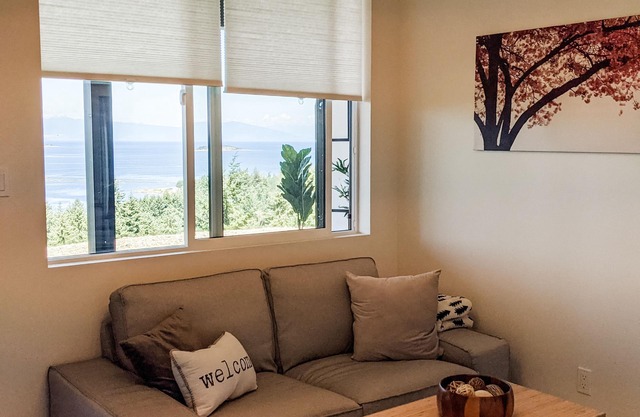 Modern studio - Stunning ocean views, A/C, WiFi, peaceful Lantzville