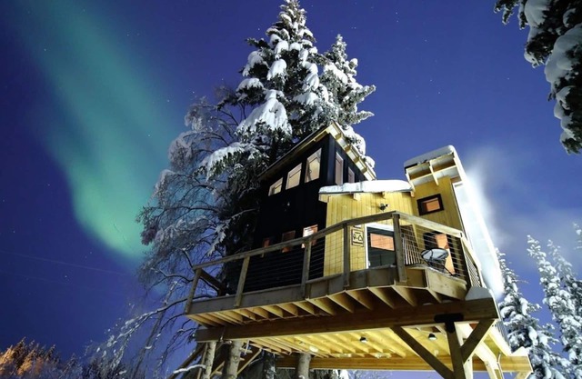 Modern Tiny Home treehouse