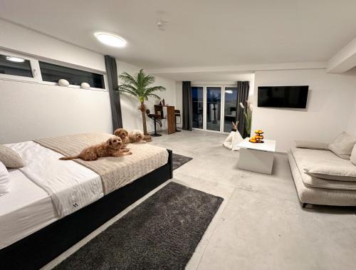 Modern Unit with Ocean View