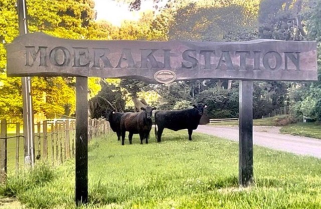 Moeraki Station Holiday House