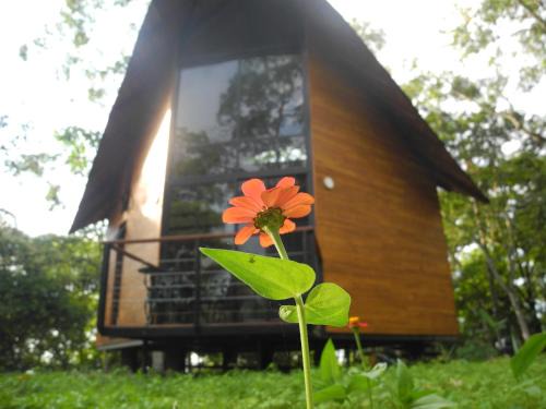 Mogambo Ecolodge