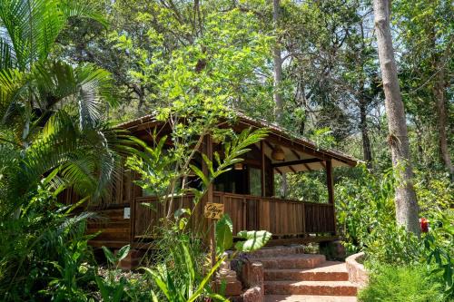 Mojigao - Eco Resort