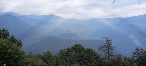 Moktan