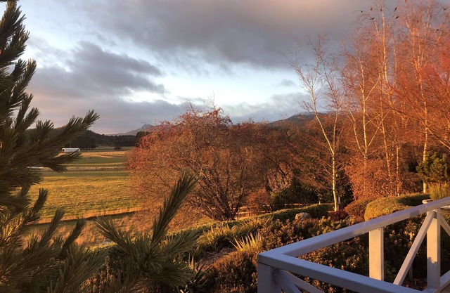 Mole Creek Hideaway