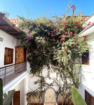 Momo House- Riad Momo