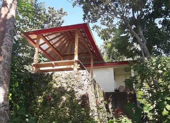 Mona‘s Tiny Djungle House