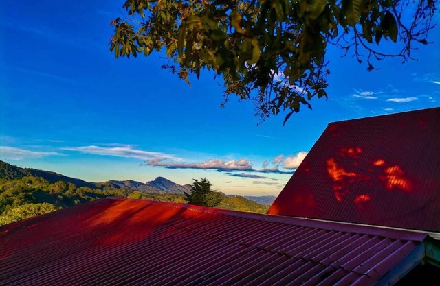 Monarca Cabin – The best view in the Area!