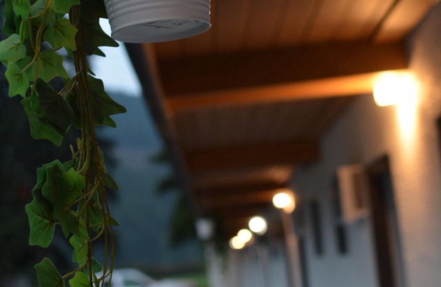 Monashee Motel