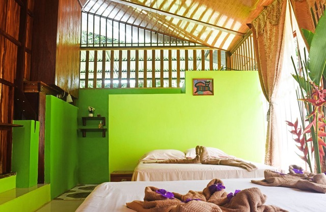Monkey Lodge- Drake Bay - Sé parte de la selva tropical