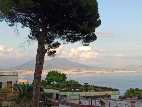 MONOCAMERA con TERRAZZOgiardino -STUDETTE -zona Panoramica POSILLIPO