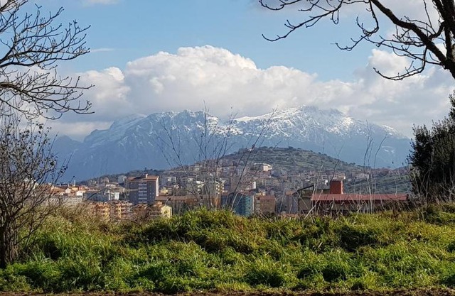 Monolocale indipendente con giardino