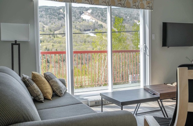 Mont du Midi 56 | Ski Condo
