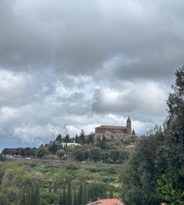 Montalcino numero10