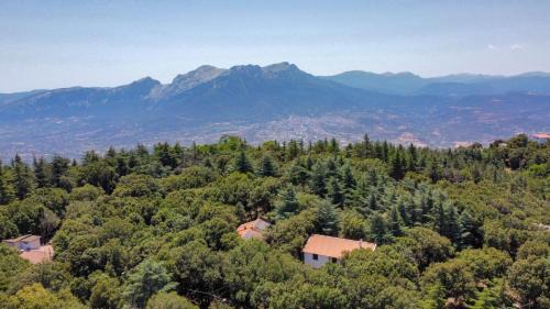 Monte Ortobene 1