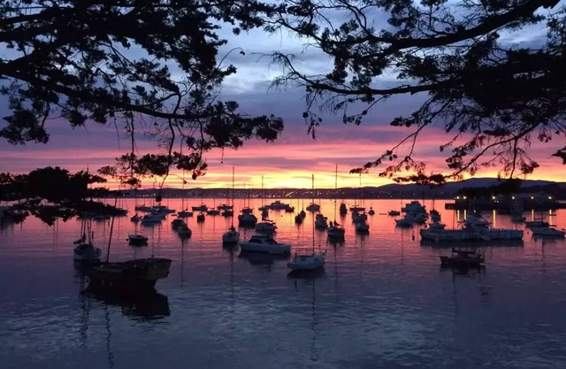 Monterey Family Living