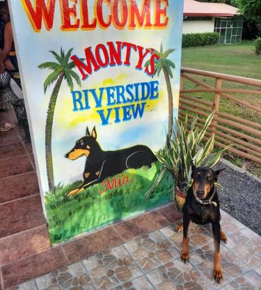 Monty's Riverside View Resort