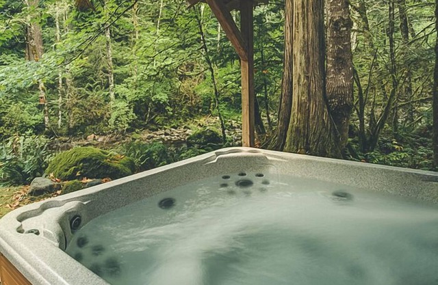 Moondance Cabin - Secluded Creekside Log Cabin, Fireplace, Hot Tub