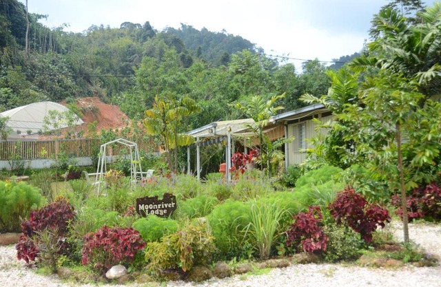 Moonriver Lodge
