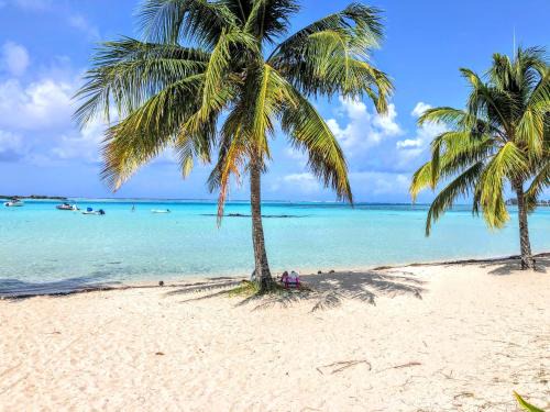 MOOREA - Tropical Soul