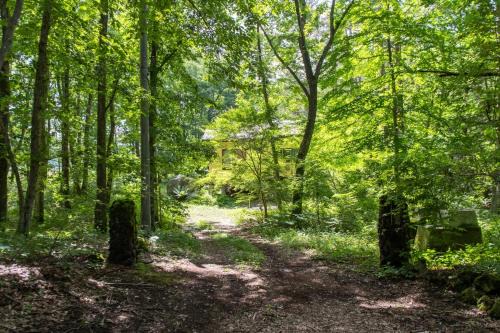 Mori no Komei campsite - Vacation STAY 04454v