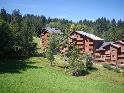 Morillon 1100
