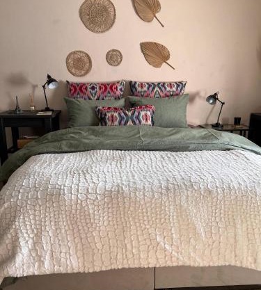 Mosquito Guest House 2