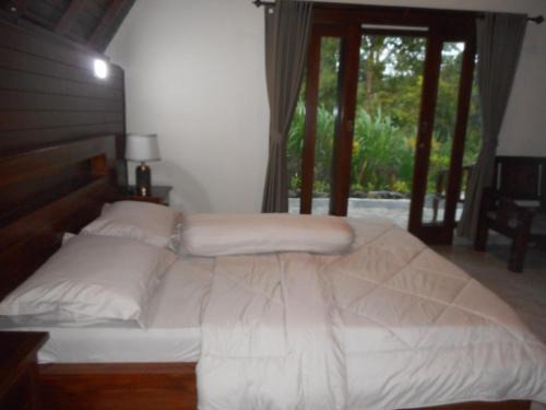 Mount Agung Villa