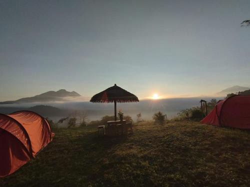Mount Batur Sunrise Trekking Stay Package in Kintamani Adventures