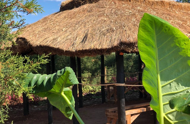 Mount Elgon Guest House