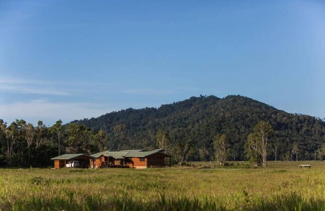 Estación de ganado Mount Louis