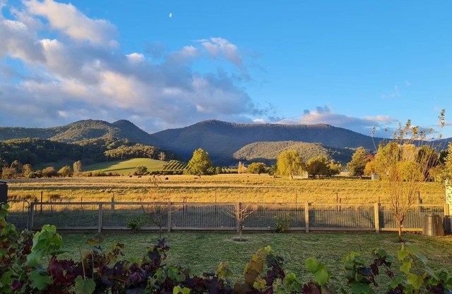 Mount Porepunkah Views