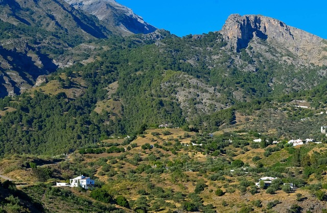 Refugio en la montaña junto al Parque Natural Sierra de Tejeda
