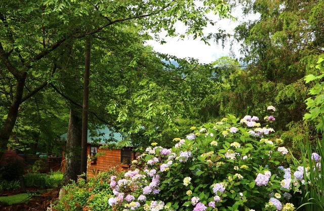 Escapada de montaña para parejas! 17 millas a Asheville, mascotas, bañera de hidromasaje