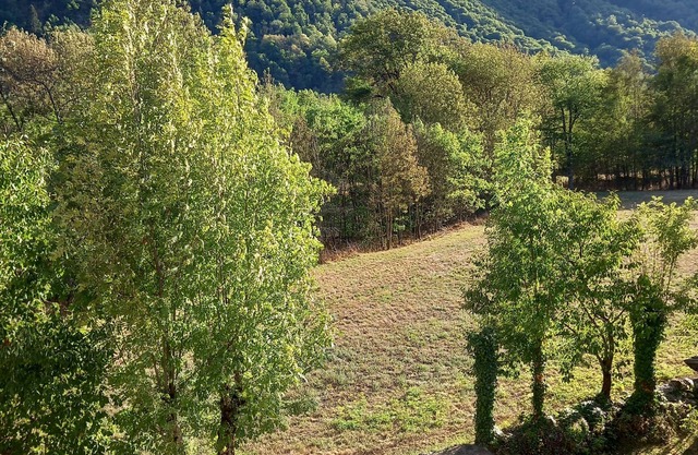 Mountain house with garden