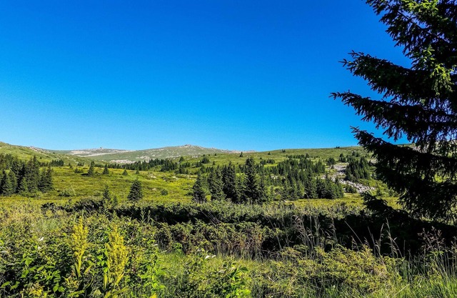 Suite Mountain Lodge con vistas fascinantes