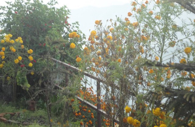 Mountain View Lodge