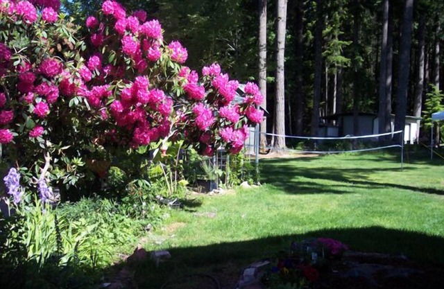 Mountain View Lodge