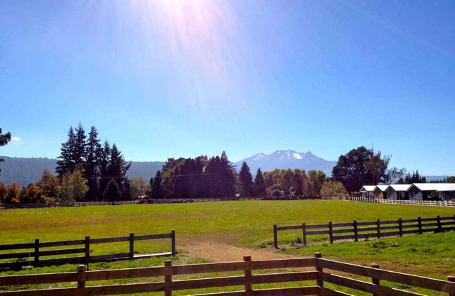 Mountain View - Ohakune Holiday Home