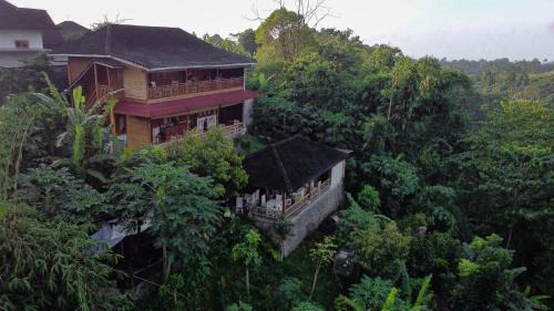 Mountain Wildlife Sanctuary Camp