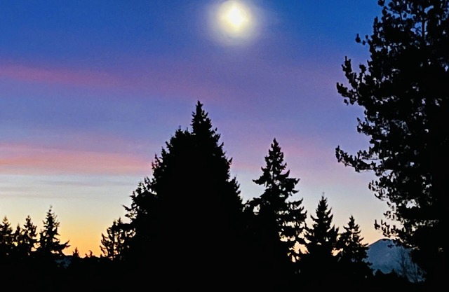 MountForest Retreat