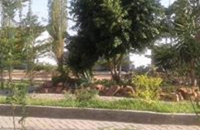 Moyo lodge