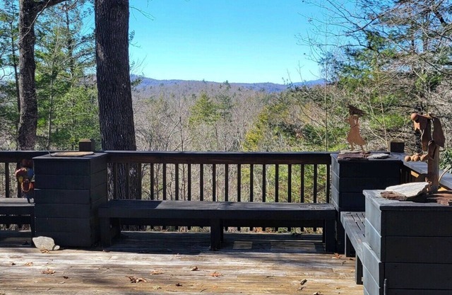 Mt. top log home VIEWS on 3 acres. Boarders Dupont State Park Pet friendly.