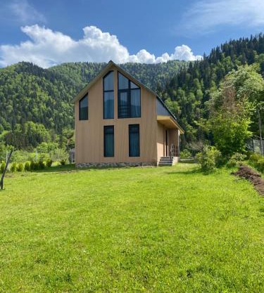 MTA house - Borjomi