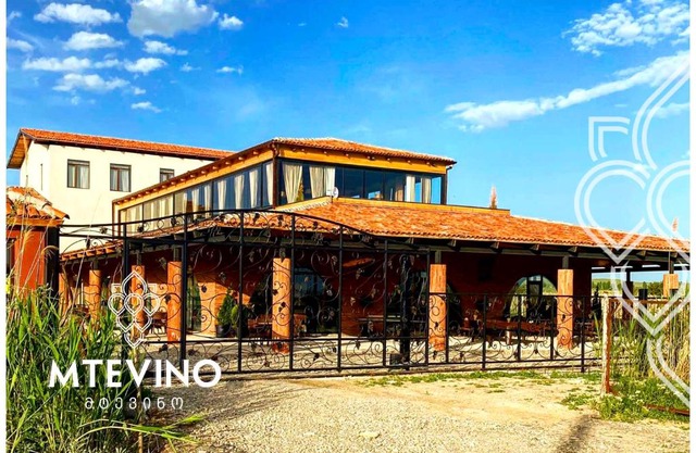 Mtevino