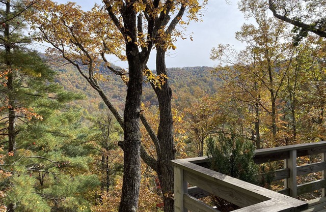 Mtn. Escapada- Cerca de Blue Ridge Pkwy (2)